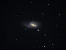 m66 im leo triplett v2 1 20200429