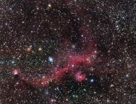 seagull nebula   ic 2177 1 20200325