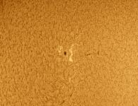 sonne in h alpha 1 20210703