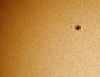 sonne in h alpha 2 20210703