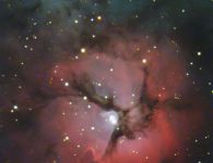 trifid 2022 07 24 6da reduced