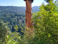 480317725 1369902380980612 n