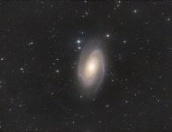 m81
